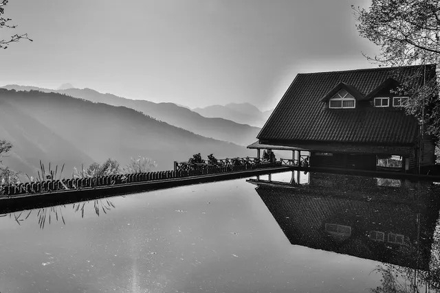Wild Landscape